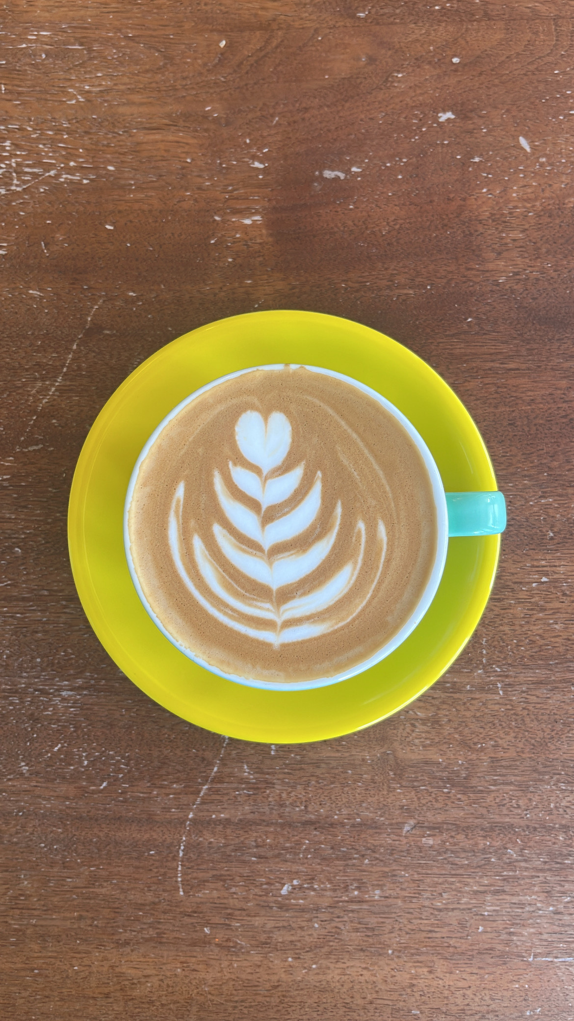 87F56CE0 6938 40A8 B52C 0EA9BA8A9AC2